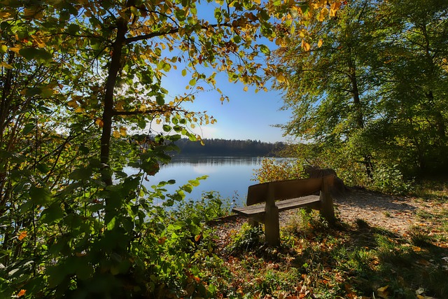 蓉城vs亚泰首发：5外援PK4外援 谭龙对阵费利佩.