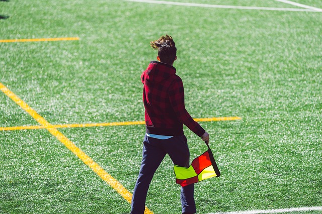 他们将有力 他们将有力