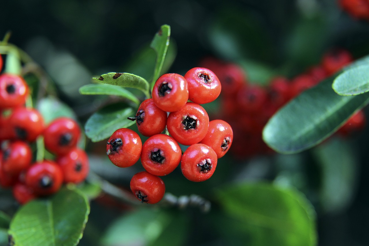更在组织串 更在组织串